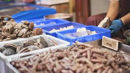 煙臺開海首日！凌晨碼頭沸騰，生猛海鮮批量上岸直供市民餐桌