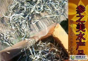 煙臺養馬島馬步魚上市 原味好魚，鮮達四方